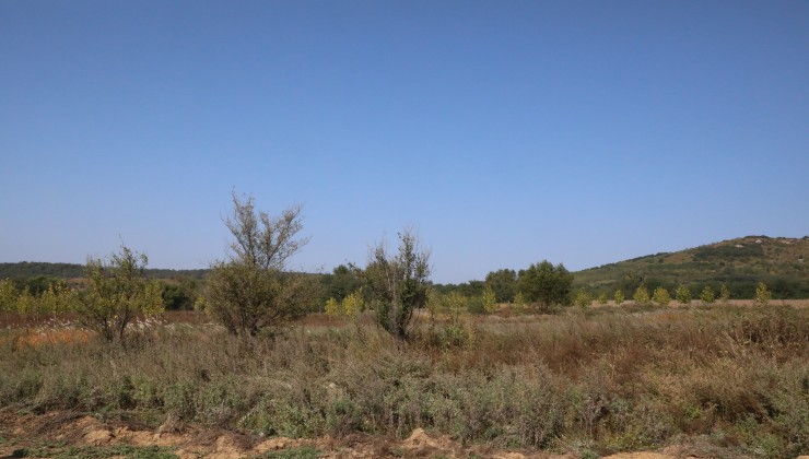 營口思拉堡溫泉凈地