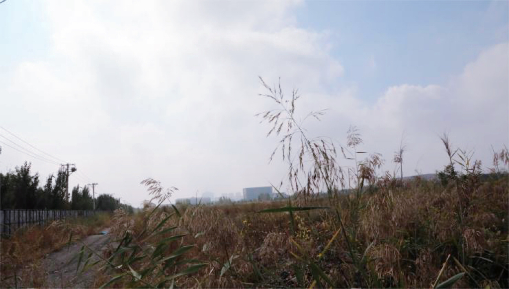 營口華府人家一期