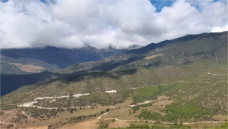 云南漾濞華君林權